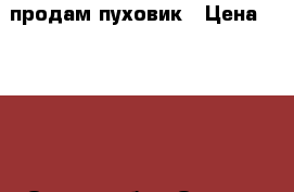 продам пуховик › Цена ­ 3 000 - Омская обл., Омск г. Одежда, обувь и аксессуары » Мужская одежда и обувь   